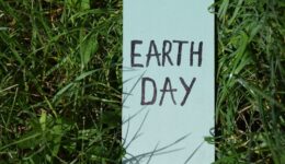 Proekologiczne działania na co dzień. Jak chronić środowisko w praktyce?