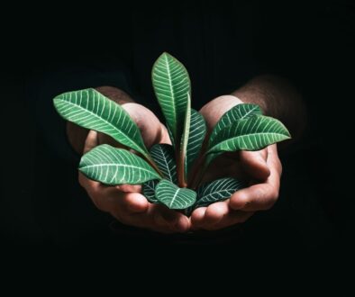 Innowacyjne rozwiązania dla biznesu w walce z plastikiem