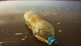 Butelki plastikowe – jak ograniczyć ich zużycie w codziennym życiu?