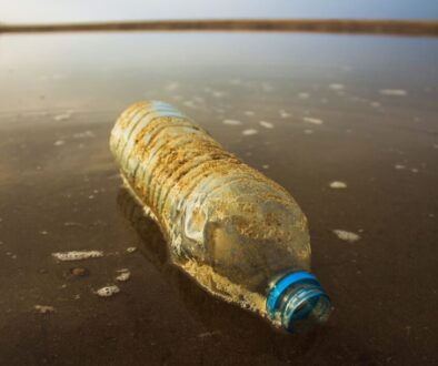 Butelki plastikowe – jak ograniczyć ich zużycie w codziennym życiu?