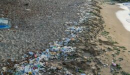 Segregacja odpadów w domu – zasady dla plastiku