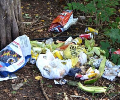 Biodegradowalność a recykling – które rozwiązanie lepiej chroni środowisko?