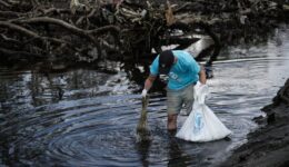 Plastik w rzekach i morzach – metody usuwania i zapobiegania