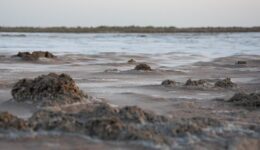 Plastik w środowisku – wpływ na glebę i wodę pitną