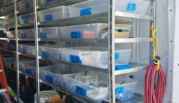 Zero waste dla początkujących – jak zacząć życie bez odpadów?